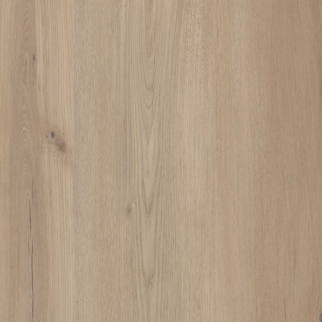 COREtec Plus COREtec Premium with Soft Step 9 Inches Sea Salt Oak US FLOORS, LLC