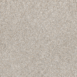 Dreamweaver Carpet Affinity II Sparrow DREAMWEAVER