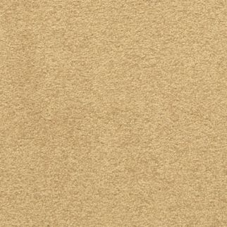 Masland Carpets Patriot Celebrate Masland