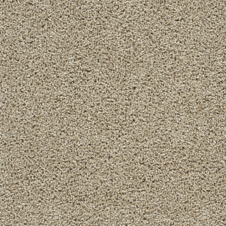 Dreamweaver Carpet Captivating II Fall Brook DREAMWEAVER