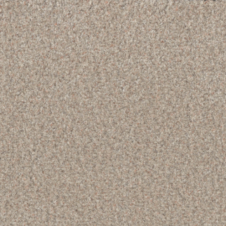 Dreamweaver Carpet Timberline I Blossom DREAMWEAVER