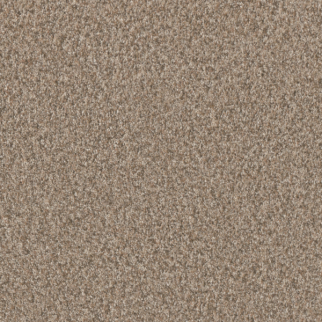 Dreamweaver Carpet Timberline III Sunshine DREAMWEAVER