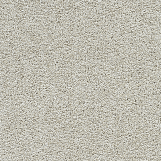 Dreamweaver Carpet Captivating II Anaheim DREAMWEAVER