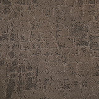 Tarkett Home Carpets Noble Polished LEXMARK