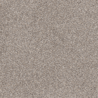 Dreamweaver Carpet Affinity III Mesa DREAMWEAVER