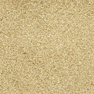 Masland Carpets Delray Reef Masland