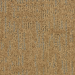 Masland Carpets Ursa Star Masland