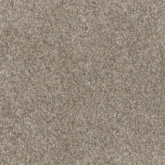 Dreamweaver Carpet Affinity I Spice DREAMWEAVER