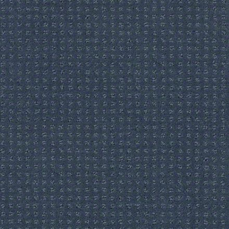 Shaw Floors Alluring Disposition Royal Navy SHAW
