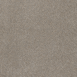 Dreamweaver Carpet East Hampton Ancient Marble DREAMWEAVER
