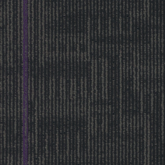 Pentz Carpet Tile by Engineered Floors Echo Plank Royal Purple ENGINEERED FLOORS