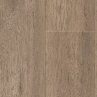 Shaw Luxury Vinyl Paragon HD Plus NATURAL BEVEL Winthrop SHAW