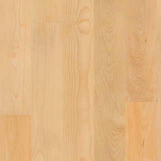 Shaw Hardwood Natural Classics Hard Maple Natural Hard Maple 7" Shaw