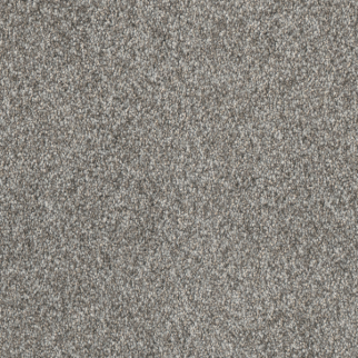 Dreamweaver Carpet Affinity III Moxie DREAMWEAVER
