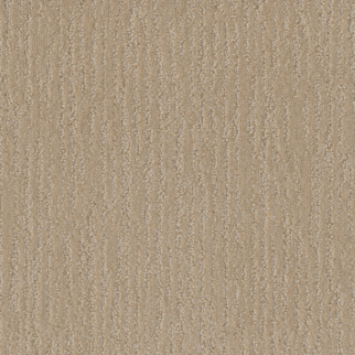 Dreamweaver Carpet Venetian Frosted Coconut DREAMWEAVER