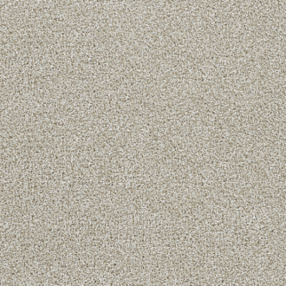 Dreamweaver Carpet Lucky Penny I Northlight DREAMWEAVER