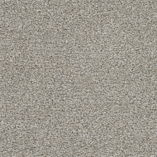Dreamweaver Carpet Lucky Penny II Elite DREAMWEAVER