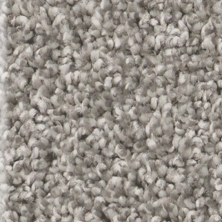 Shaw Floors Affirmation I Lunar Surf SHAW