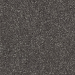 Shaw Floors Easy Spirit II 12 Iron SHAW