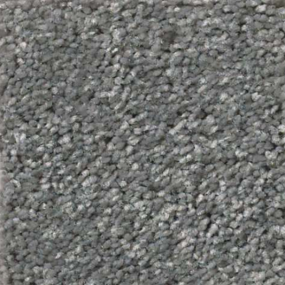 Shaw Floors Attainable Slate SHAW