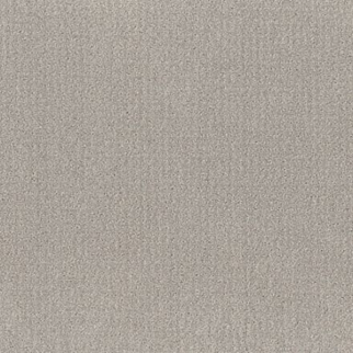 Shaw Floors Translate Feather SHAW