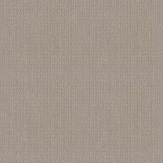 Shaw Floors Essential Now Newstone Haven SHAW
