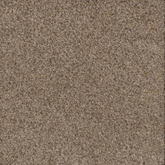 Dreamweaver Carpet Toast Of The Town Briarwood DREAMWEAVER