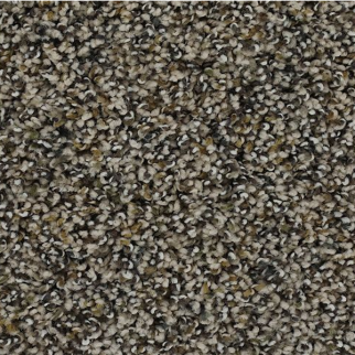 Horizon Carpet Captivating Outlook Frosted Almond Mohawk