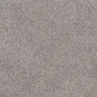 Dreamweaver Carpet Rustic Retreat I Sweet Magnolia DREAMWEAVER