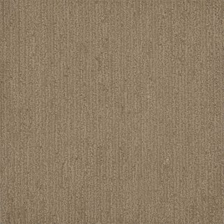 Dreamweaver Carpet Surfside Tanglewood DREAMWEAVER