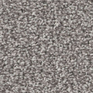 Shaw Floors Trusolutions II Storm Cloud SHAW