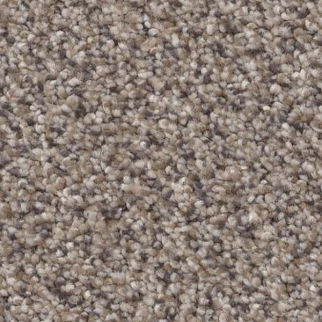 Shaw Floors Truspirit II Concrete SHAW