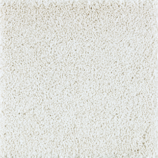 Horizon Carpet Exquisite Beauty Nouveau Mohawk