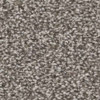 Shaw Floors Trusolutions I Tree Bark SHAW