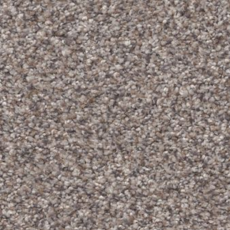 Shaw Floors Trusplendor Stainless SHAW