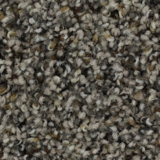 Horizon Carpet Captivating Outlook Winter Ash Mohawk