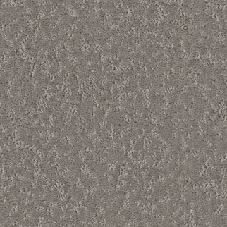 Shaw Floors Clever Choice Lunar Haze SHAW