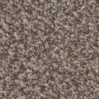 Shaw Floors Truspirit I Cobble Drive SHAW