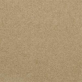 Masland Carpets Americana Coyote Masland
