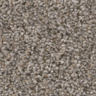 Shaw Floors Always Right II Graphite SHAW