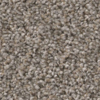 Shaw Floors Always Right I Graphite SHAW