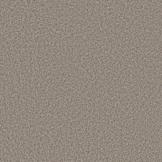 Shaw Floors Soft Radiance Overcast SHAW