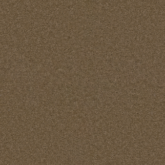 Dreamweaver Carpet Exceptional II Sable DREAMWEAVER