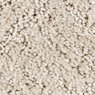 Horizon Carpet Impressive Edge Tradition Mohawk