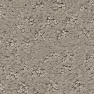 Tuftex Del Vista Ash Mist SHAW