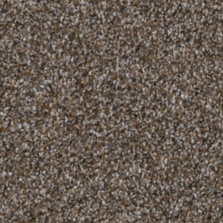 Shaw Floors Truspirit I City Scape SHAW
