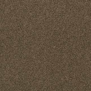 Dreamweaver Carpet Hot Pursuit Agate DREAMWEAVER