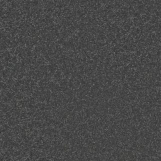 Shaw Floors Awaken Spirit I 12' Darkroom SHAW