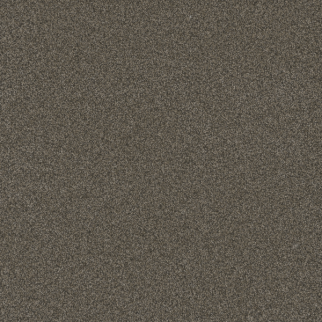 Dreamweaver Carpet Blazer I French Roast DREAMWEAVER