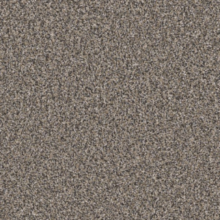Shaw Floors Affirmation I Granite SHAW